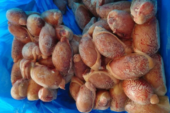 Заморожені яйця бичачі (сім'яники) від здорових тварин- фото № 1