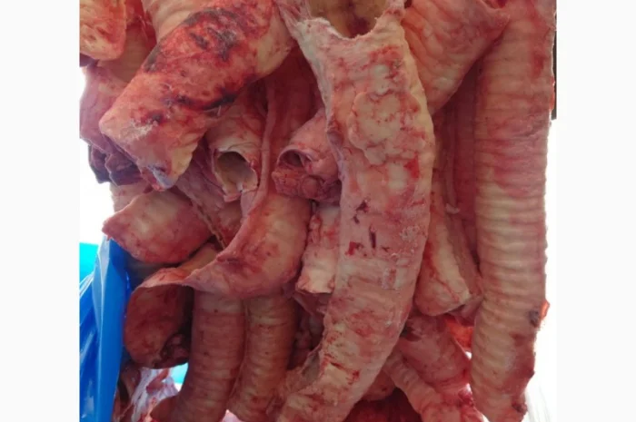 Трахея яловича, ретельно очищена- фото № 3