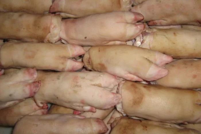 Ножки свинячі заморож- фото № 1