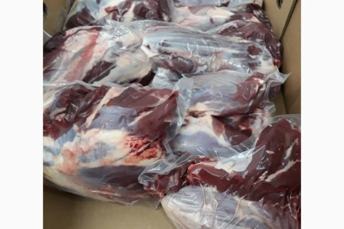 ПрАТ «АГРО-ПРОДУКТ» пропонує охолоджене мясо на кості та шматкове мясо бика і корови- фото № 7