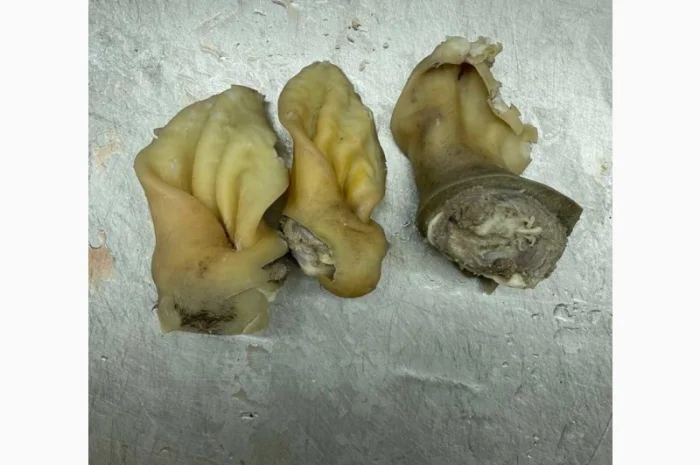 ПрАТ АГРО-ПРОДУКТ продає вуха, морди, рубець шпарений- фото № 2