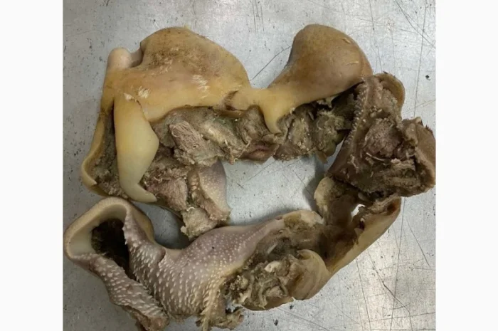 ПрАТ АГРО-ПРОДУКТ продає вуха, морди, рубець шпарений- фото № 3