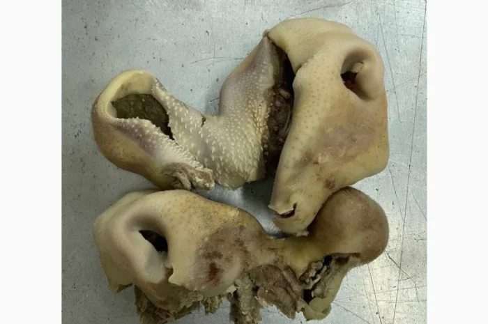 ПрАТ АГРО-ПРОДУКТ продає вуха, морди, рубець шпарений- фото № 4