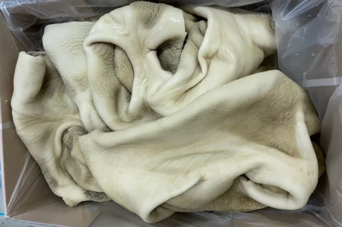 ПрАТ АГРО-ПРОДУКТ продає вуха, морди, рубець шпарений- фото № 5