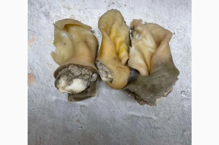 ПрАТ АГРО-ПРОДУКТ продає вуха, морди, рубець шпарений- фото № 1