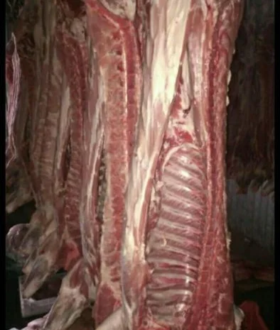 Мясо полотуши ВРХ, свинина- фото № 1