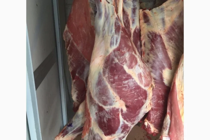 Мясо полотуши ВРХ, свинина- фото № 2