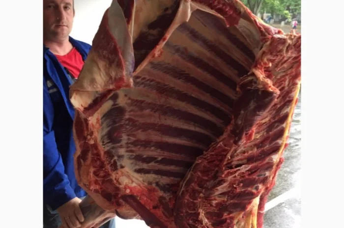 Мясо полотуши ВРХ, свинина- фото № 4