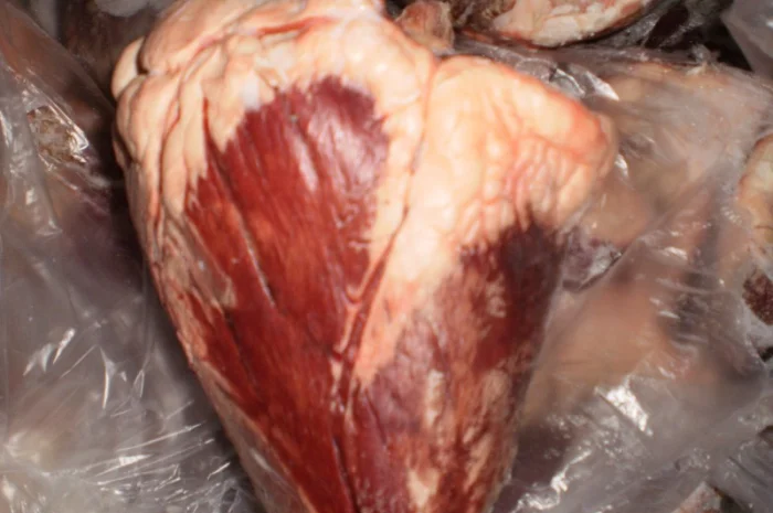 Предприятие реализует субпродукты- фото № 2