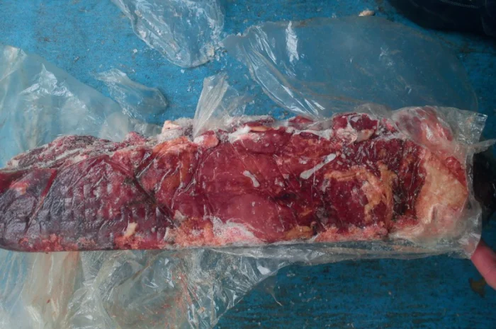 Продам блочную говядину(высшего- фото № 1