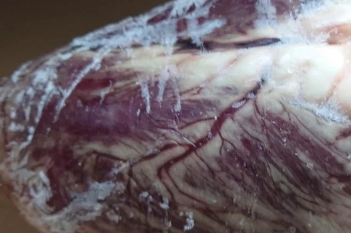 Продам серце яловиче- фото № 1