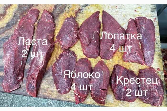 Продается мясо говядины высшего сорта- фото № 2