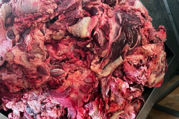 Продам головізну ВРХ, м’ясообрізь ВРХ, жиловану та не жиловану яловичину- фото № 7