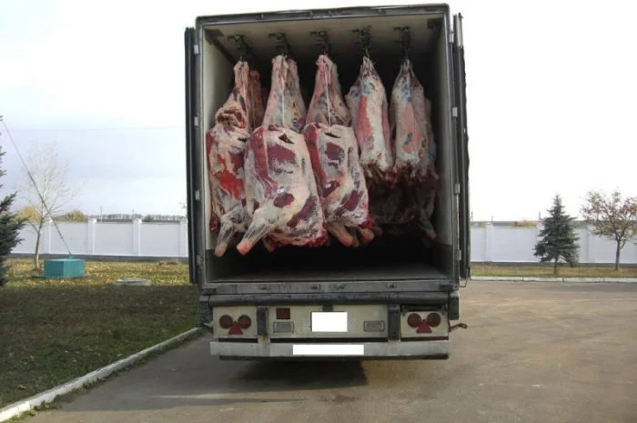 Мясо говядина оптом- фото № 5