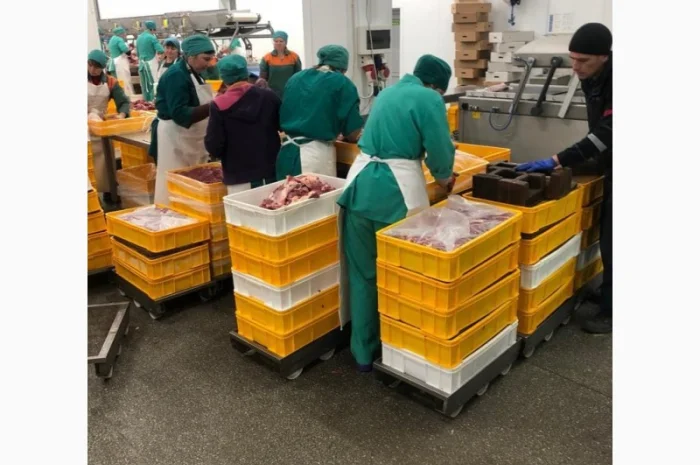 Мясо говядина оптом- фото № 6