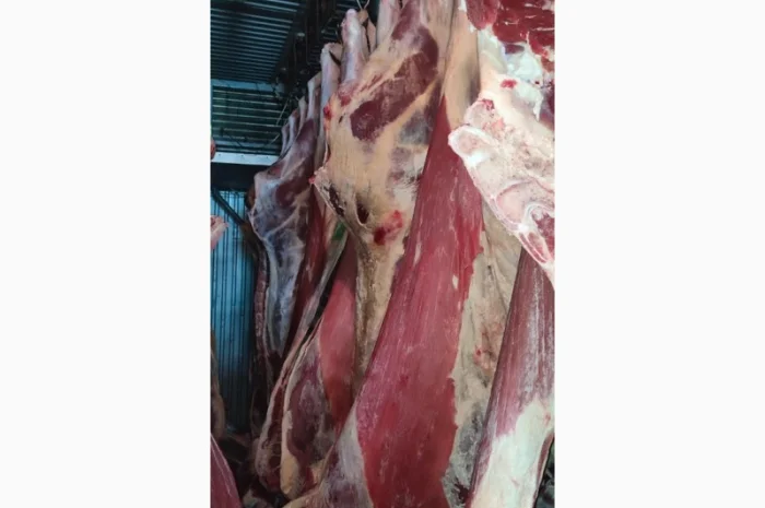 Продам говядину охлаждённую в полутушах, Халяльный убой- фото № 1