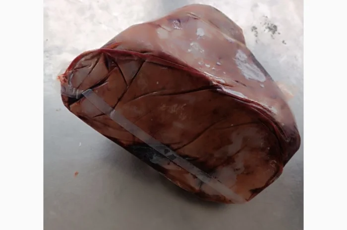 Продам печінку яловичу Україна- фото № 4