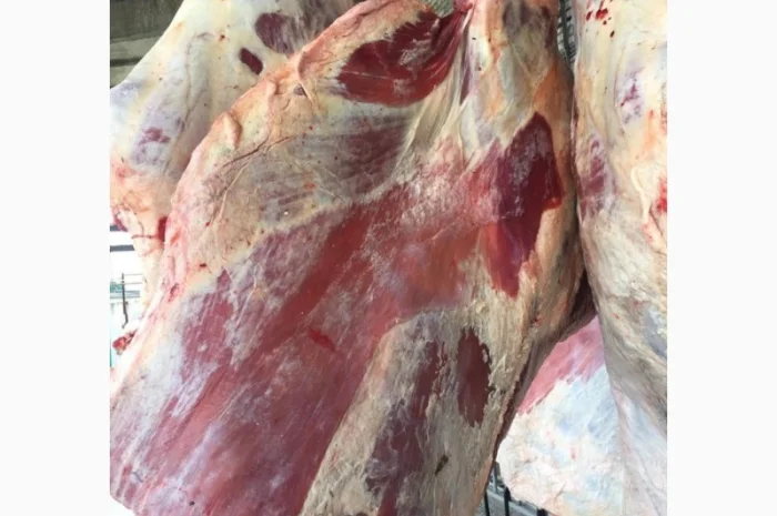 Куплю яловичі півтуші та четверті- фото № 1