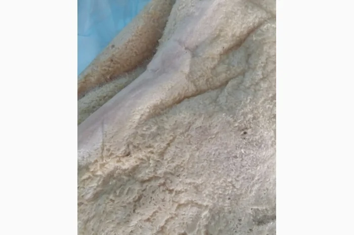 Рубец говяжий шпаренный- фото № 1