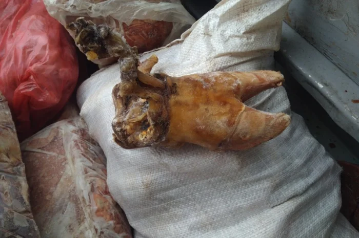 Путовый сустав говяжий- фото № 1