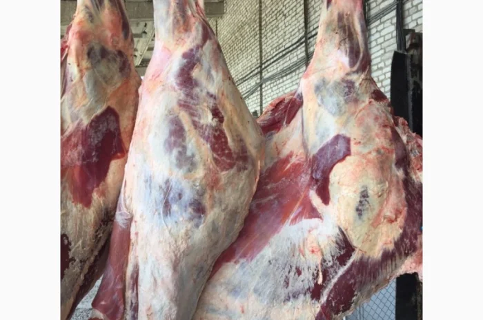 Продам мясо яловиче- фото № 3