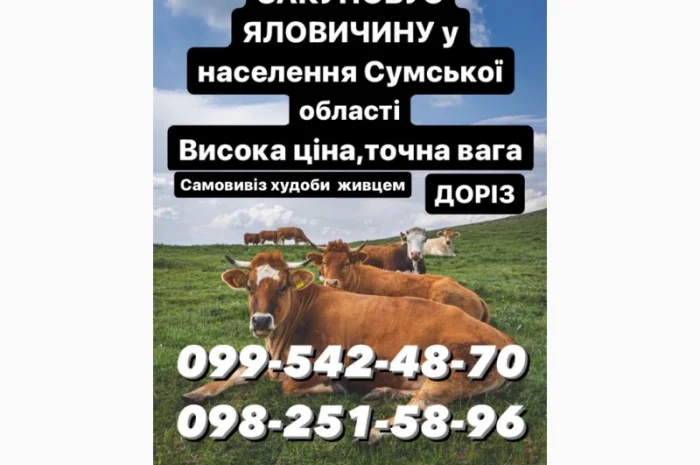 Заготівля врх- фото № 1