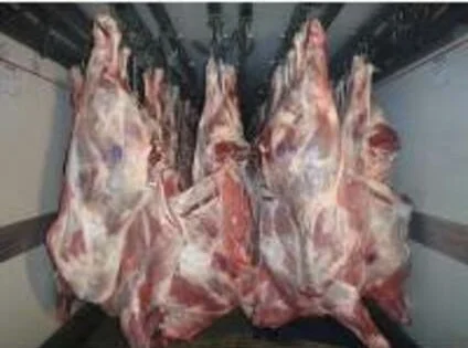Мясо Полутуши- фото № 2