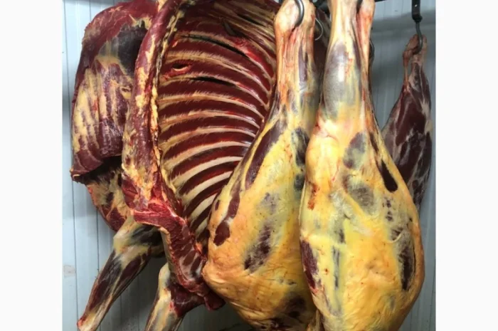 Конина, м'ясо конини, туші конини- фото № 2