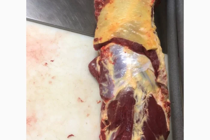 Конина, м'ясо конини, туші конини- фото № 3