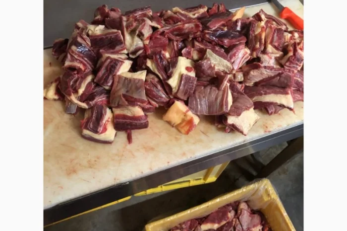 Конина, м'ясо конини, туші конини- фото № 4