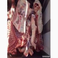 Продаем полутуши конины- фото № 1