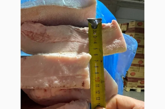 Продается свиное сало Иберика из Испании от поставщика 20 тонн- фото № 2