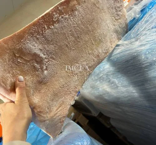 Продается свиное сало Иберика из Испании от поставщика 20 тонн- фото № 3