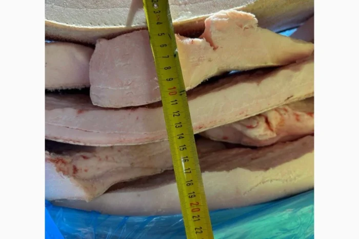 Продается свиное сало Иберика из Испании от поставщика 20 тонн- фото № 4