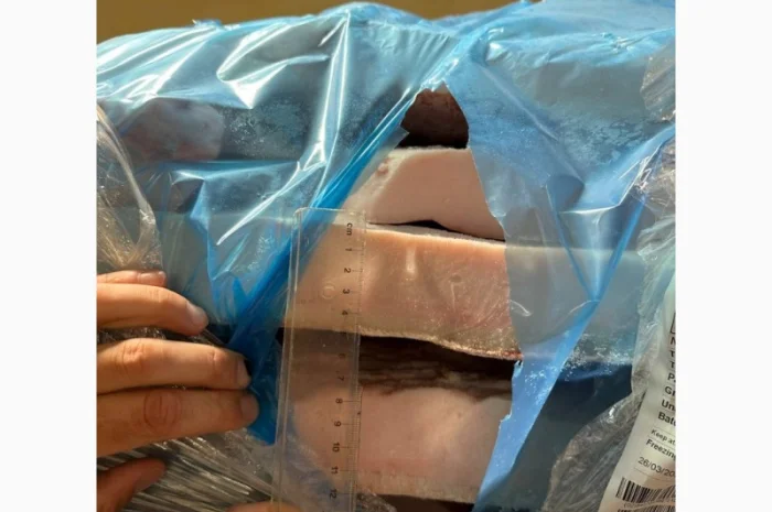 Продается свиное сало Иберика из Испании от поставщика 20 тонн- фото № 11