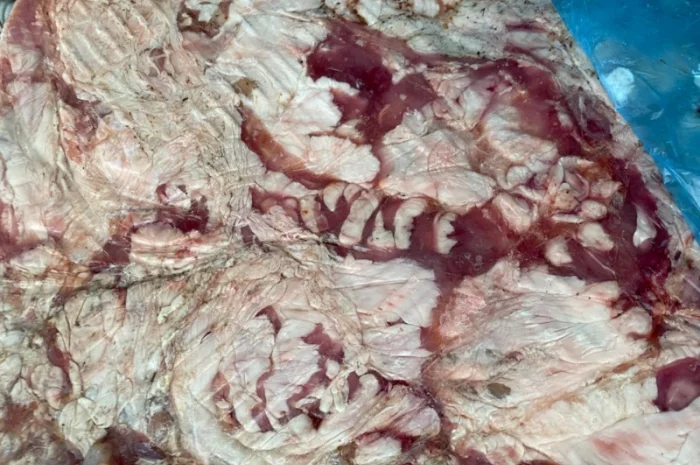 Продам свиной кишечный и внутренний жир- фото № 3