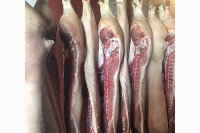 Полутуши свинные бекон (S і Е клас)- фото № 1