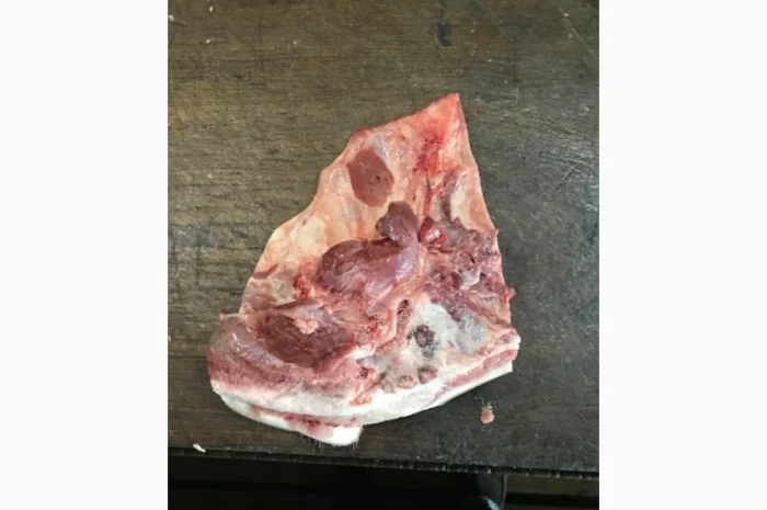 Продам свинну щоковину (баки)- фото № 2