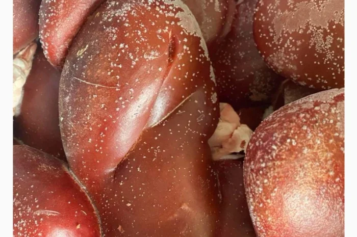 Продам свинні нирки – за запитом- фото № 1