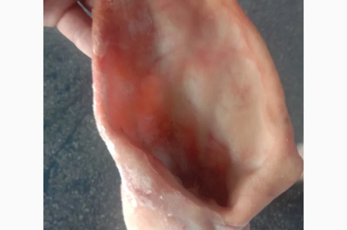 Продам свинные уши – по запросу- фото № 1