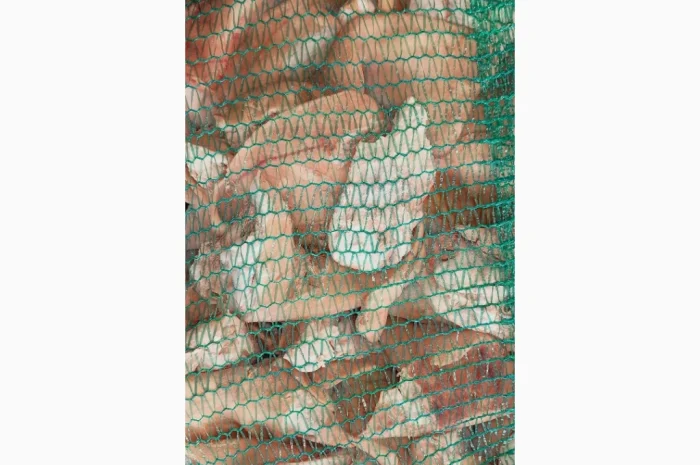 Продаются свиные уши по запросу- фото № 2