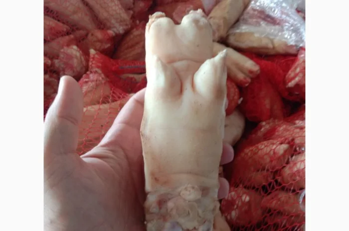 Продам свинні ніжки – за запитом- фото № 1