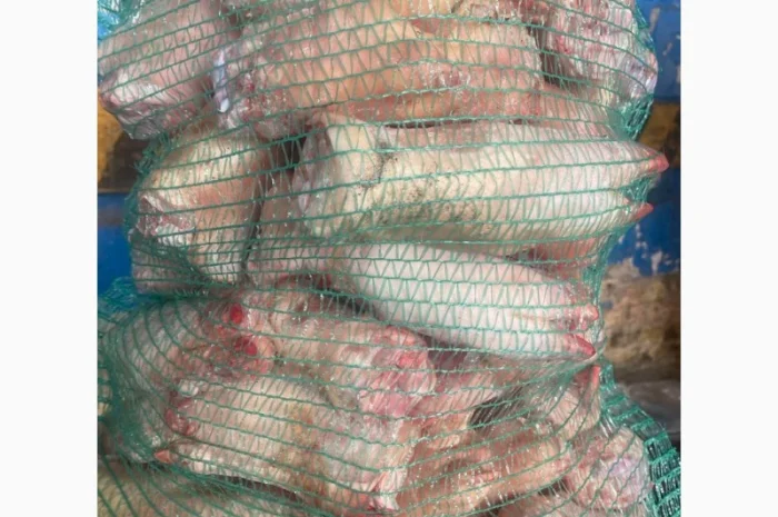 Продам свинні ніжки – за запитом- фото № 2