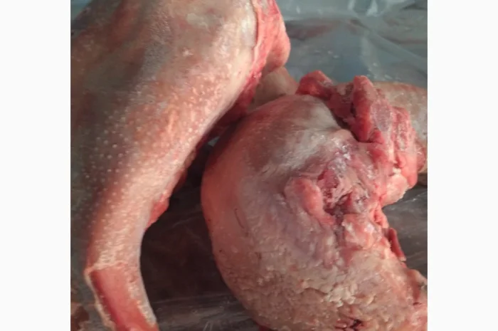 Пропонується свинний язик, заморожений, 7 кг- фото № 1