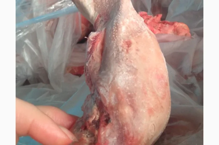 Пропонується свинний язик, заморожений, 7 кг- фото № 2