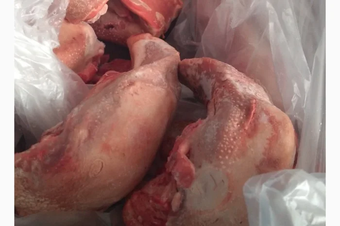 Пропонується свинний язик, заморожений, 7 кг- фото № 3