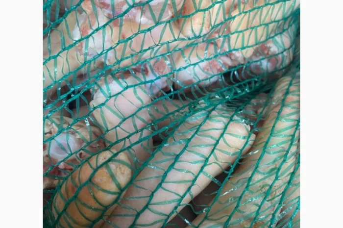 Продам свинячі хвости – за запитом- фото № 1