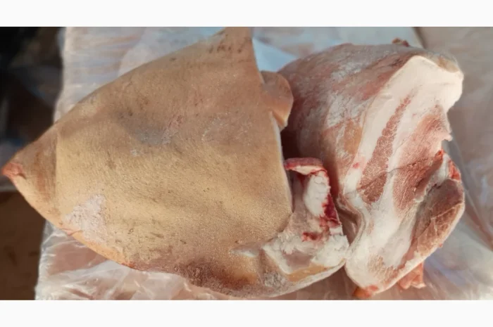 Продажа свиных баков - отличное предложение- фото № 3