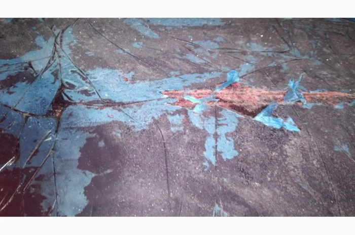 Продам свинну кров за запитом- фото № 2