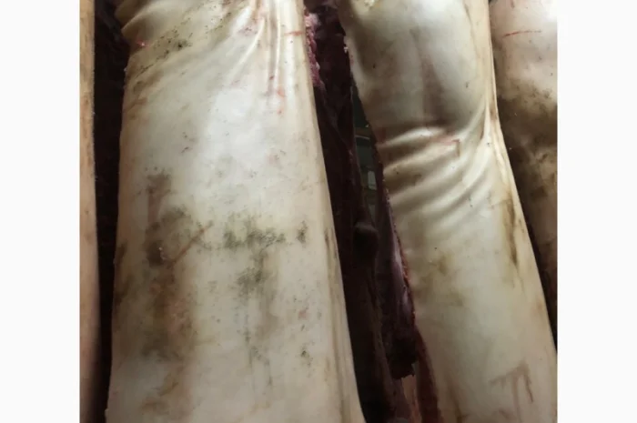 Продаж замороженої свинини та яловичини від виробника- фото № 1